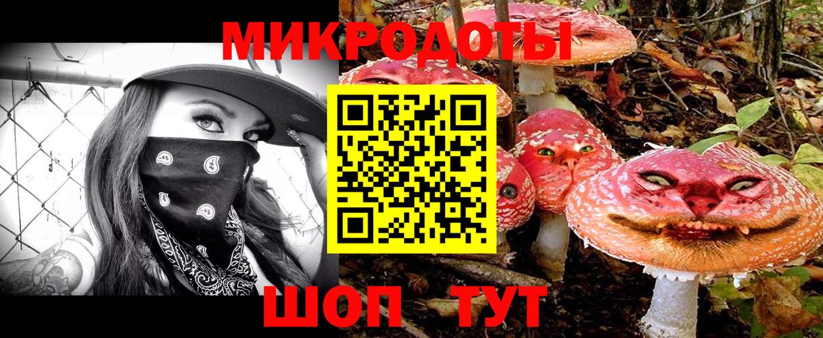 Псилоцибиновые грибы GOLDEN TEACHER  Вход с VPN  Новотроицк 
